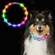thumbnail image 5 of Collar luminoso para perros, collar para perros recargable por USB, collar para perros de seguridad LED, longitud ajustable con 2 modos de flash para perros pequeños, medianos y grandes, gatos,, 5 of 5