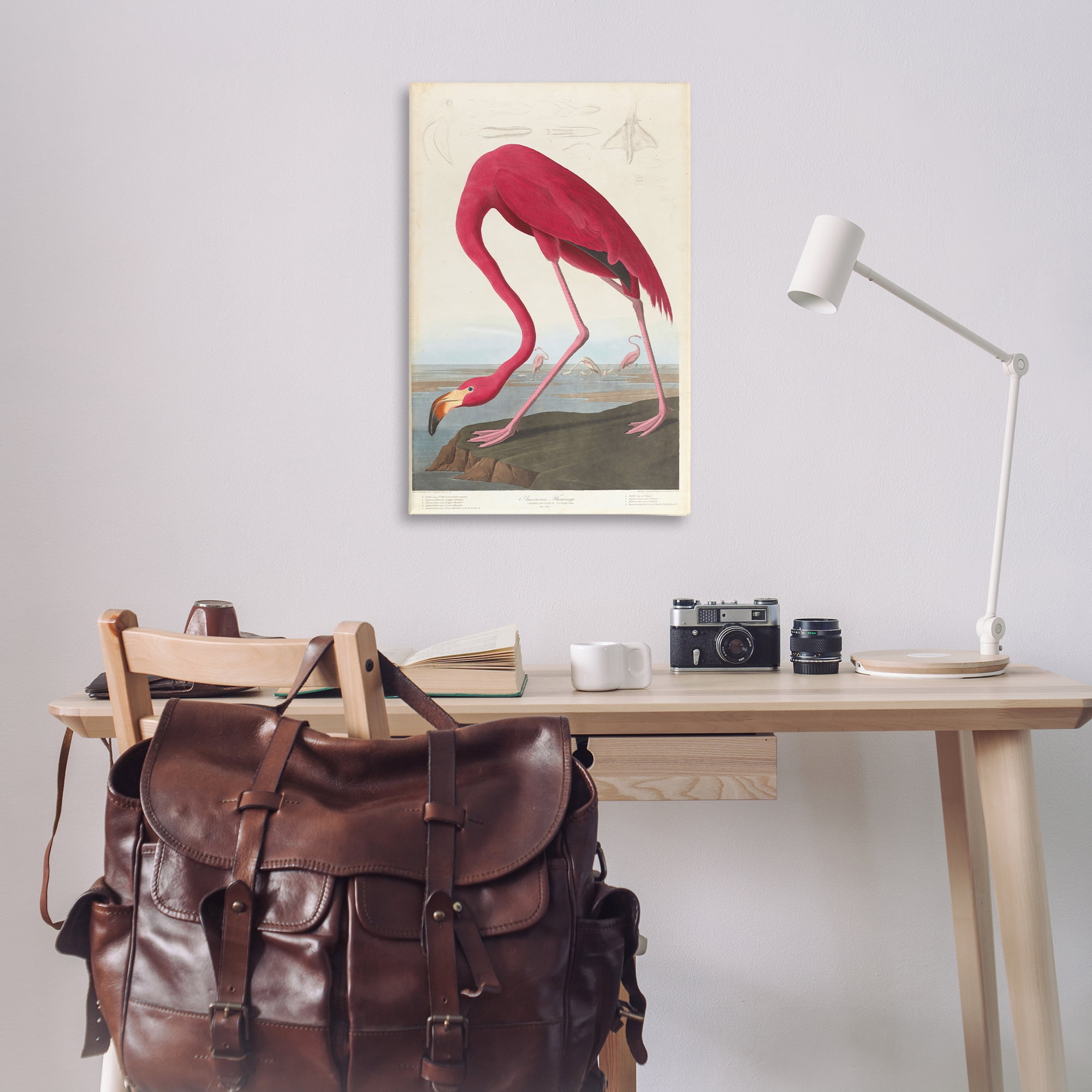 Stupell Industries Classic American Flamingo Animals Painting Wrapped Canvas Art Print Wall Art, 24 x 36