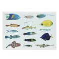 thumbnail image 1 of Maritime Cutting Board, Marine Life Creatures with Cardinalfish Clownfish Stingray Exotic Fauna Sea Theme, Decorative Tempered Glass Cutting and Serving Board, Large Size, Multicolor, by Ambesonne, 1 of 1