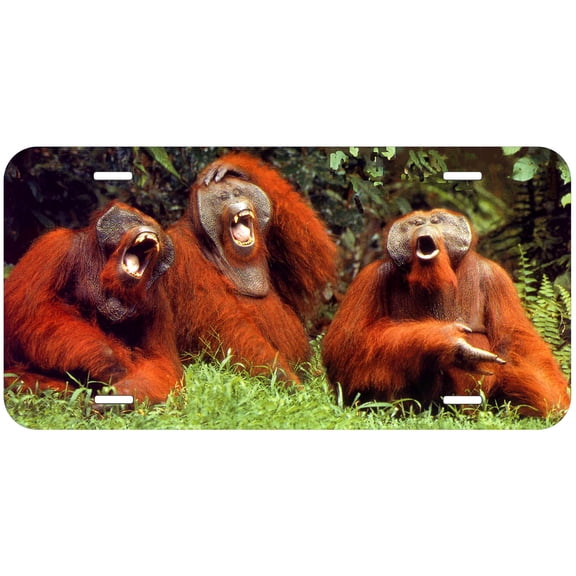 Monkey TAG23 Novelty Car Auto License Plate