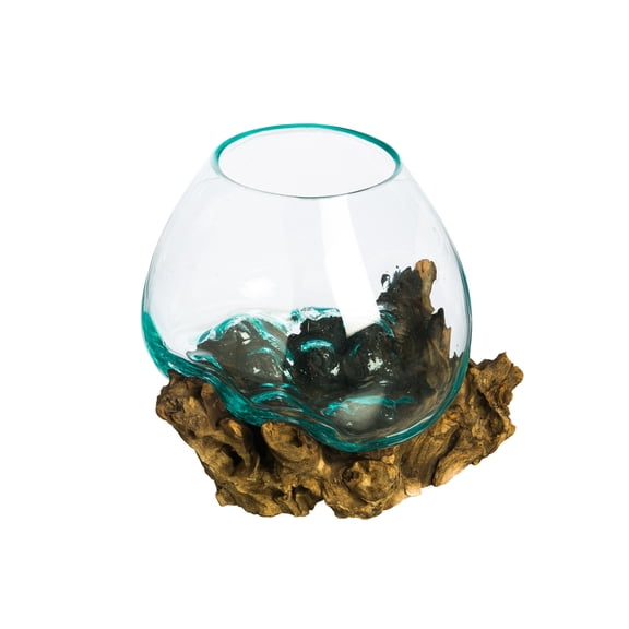 Evergreen Glass Planter on Driftwood, 8''x 10'' x 11'' inches
