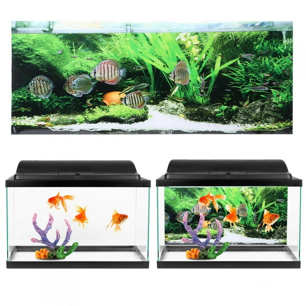 Ccdes Fish Tank Poster, Pvc Bright Color Fish Tank Background Poster, For Fish Tank 61x41cm 61x41cm