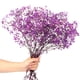 thumbnail image 1 of 1 ramo de flores secas de Gypsophila., 1 of 6
