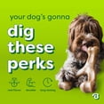 thumbnail image 4 of Benebone Essentials Wishbone Bacon M/L, 4 of 6