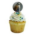 thumbnail image 5 of American Kestrel on Branch Painting Cupcake Picks Toppers Decoration Set of 6, 5 of 7