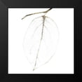 thumbnail image 2 of Zalewski, Christine 15x15 Black Modern Framed Museum Art Print Titled - Fall Leaves III, 2 of 5