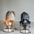 thumbnail image 6 of Iconic Pet - Stainless Steel Non-Skid Pet Bowl for Dog or Cat - 24 oz - 3 cup, 6 of 9