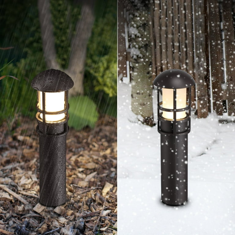 Leonlite 3w 2024 led landscape light