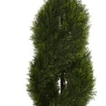 thumbnail image 2 of Nearly Natural 4.5ft. Double Pond Cypress Spiral Artificial Tree in Turquoise Planter UV Resistant (Indoor/Outdoor), Green, 2 of 3