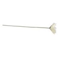 thumbnail image 2 of Langgg Artificial Chrysanthemum Simulation Floral Decor Home Party Table Centerpiece artificial Flower, White, 2 of 8