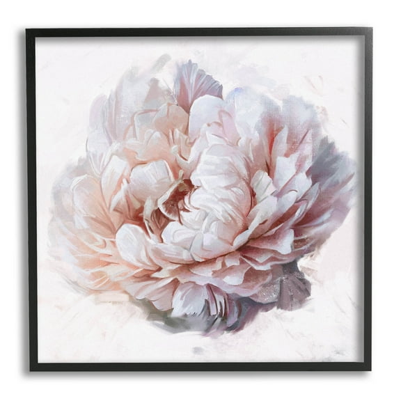 Stupell Industries Detailed Peony Petals Graphic Art Black Framed Art Print Wall Art, Design by Ziwei Li