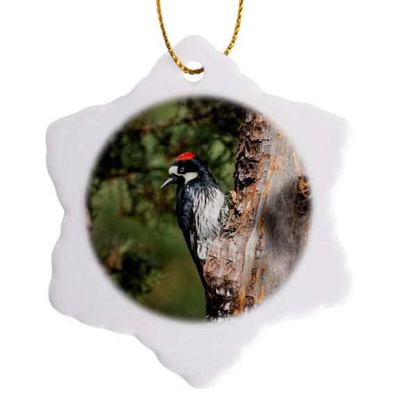 3drose, Acorn Woodpecker on Alligator Juniper, Arizona, 3 inch Snowflake Porcelain Ornament