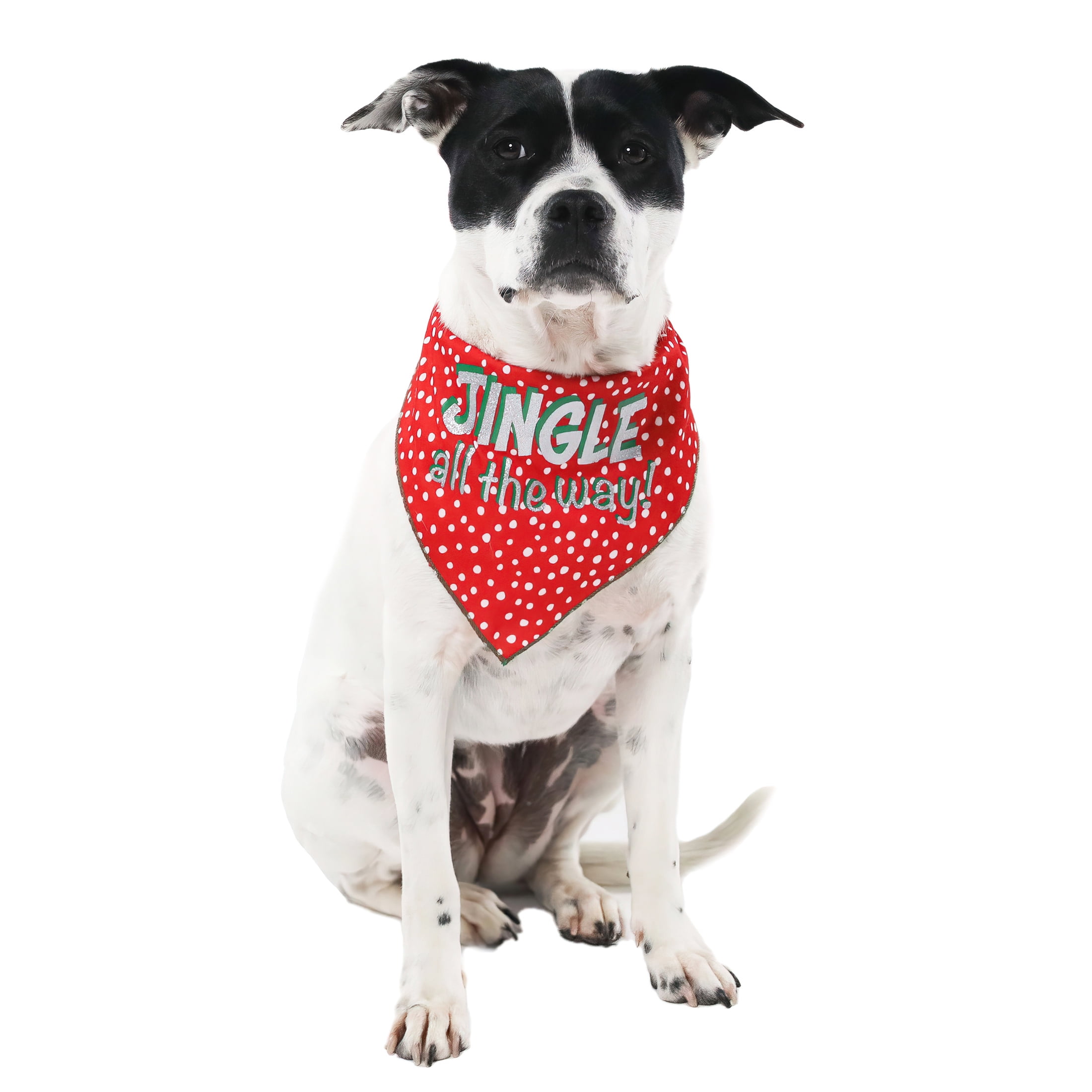 Vibrant Life Dog Clothes: Jingle All the Way Dog Bandana, Size M-L