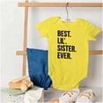 thumbnail image 4 of Best Big Sister Ever Older Sibling Bodysuit Jumper Girls Infant Baby Brisco Brands 12M, 4 of 6