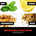 thumbnail image 3 of adidas Active Start 3-in-1 Body Wash, 3 of 3