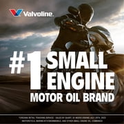Valvoline 4-Stroke Motorcycle Conventional 10W-40 Motor Oil 1 Quart