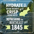 thumbnail image 3 of Poland Spring Maine Spring Water, 8 Fl Oz, 12-Pack Plastic Bottles, 3 of 12
