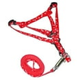 thumbnail image 5 of Yesbay Dog Cat Harness Collar Leash Fashion Bones Paws Print Safety Traction Rope, 5 of 8