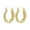 Gold, variant on SeekLGT Gold Plated Hoop Earrings for Women, Small Twisted Thickened Oval Earrings, Elegant Polished Fashion Jewelry, 1 Pair