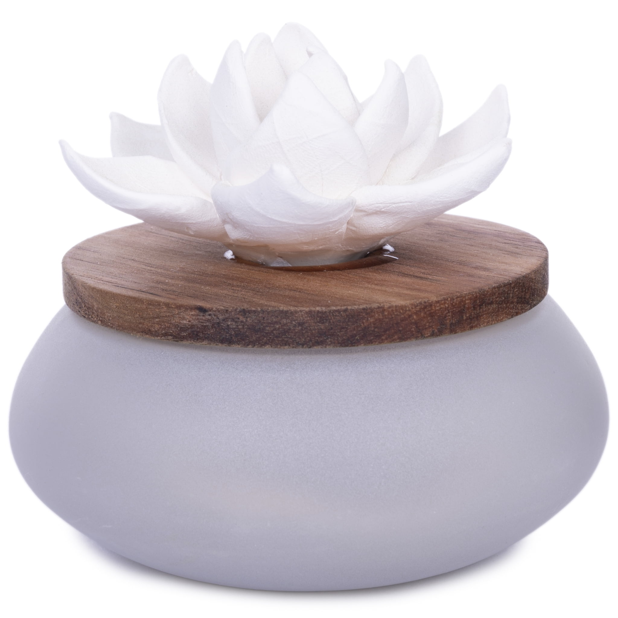 Better Homes & Gardens Wicking Ceramic Diffuser, Frosted Succulent