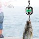 thumbnail image 2 of Portable LCD Digital Hanging Scale with Hook, 150kg Capacity, Black - Compatible with Electronic Scales, 2 of 5