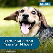 (2 pack) Seresto Flea & Tick Collar For Dogs Up to 18 lbs., Vet-Recommended, 8 Month Protection