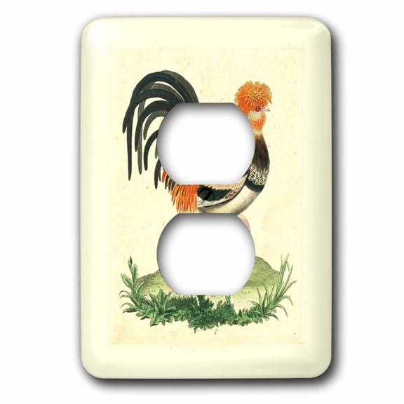 3dRose, 1770 French Vintage Rooster Print, 2 plug outlet cover