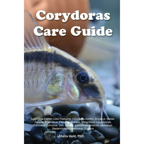 Corydoras Care Guide. Corydoras Catfish Care Featuring: Corydoras Adolfoi, Arcuatus, Metae, Aeneus, Pygmaeus, Paleatus, , (Paperback)