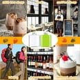 thumbnail image 5 of JUMRHFAN 24 Pack Plastic Bottles with Caps, Clear Juice Bottles Flat Water Bottle Plastic Flask Bottle Reusable Mini Beverage Container for Drinks, Milk, Tea, Alcohol, Liquor (10 oz), 5 of 7