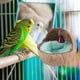 thumbnail image 1 of Nido para cría de aves con cáscara de coco Natural, jaula para cama, nido para incubar con estera, 1 of 11
