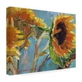thumbnail image 4 of Richard Wallich 'Sun 11' Canvas Art, 4 of 5