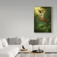 thumbnail image 3 of Trademark Fine Art 'Underneath It All' Canvas Art by Howard Lyon, 3 of 3