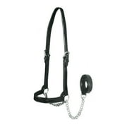 Derby New and Improved Premium Flat Fancy Stitch Leather Cattle Show Halter with Matching Chain Lead- Black, Small Sized