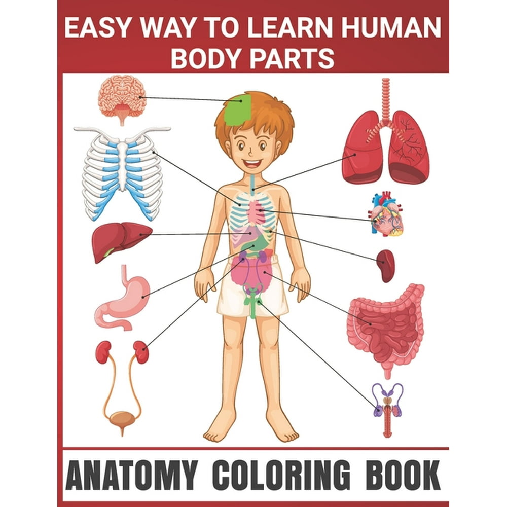 Easy Way To Learn Human Body Parts Anatomy Coloring Book : Human Body