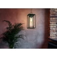 thumbnail image 4 of 203036A-Eglo Lighting-Walker Hill - One Light Outdoor Pendant, 4 of 7