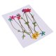 thumbnail image 1 of 10 Piezas Flores Secas Prensadas Naturales Zulema, 1 of 8