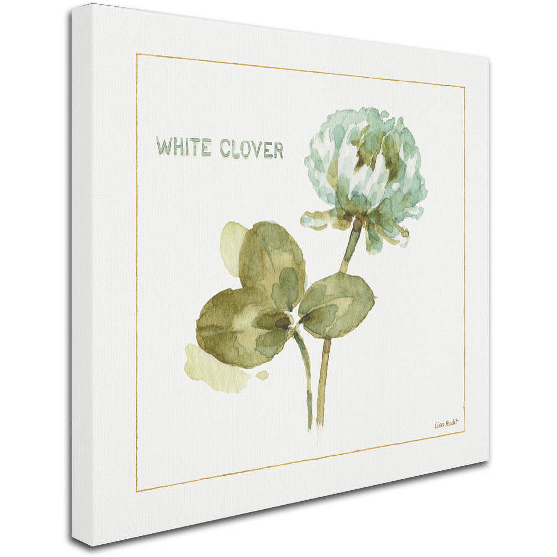 Trademark Fine Art "My Greenhouse Clover" Canvas Art by Lisa Audit