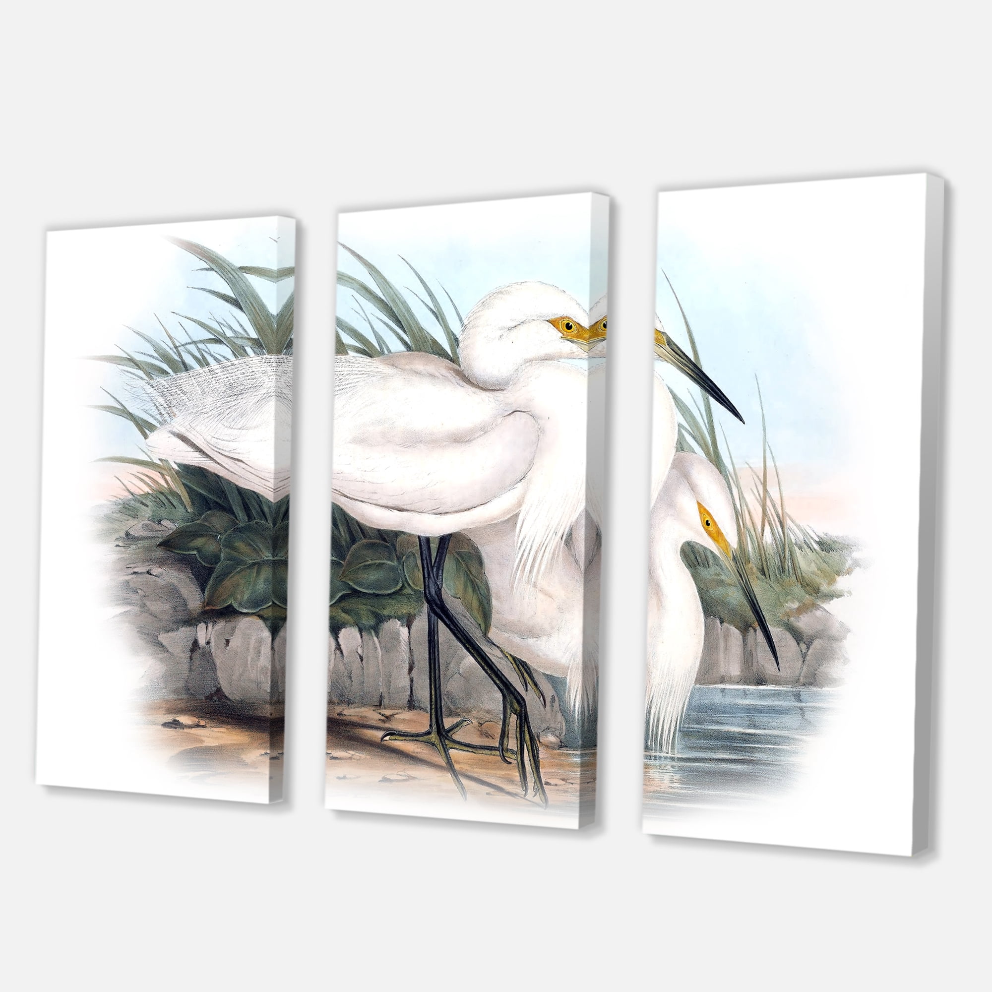 Designart ' Ancient Bird Life I ' Traditional Canvas Wall Art Print