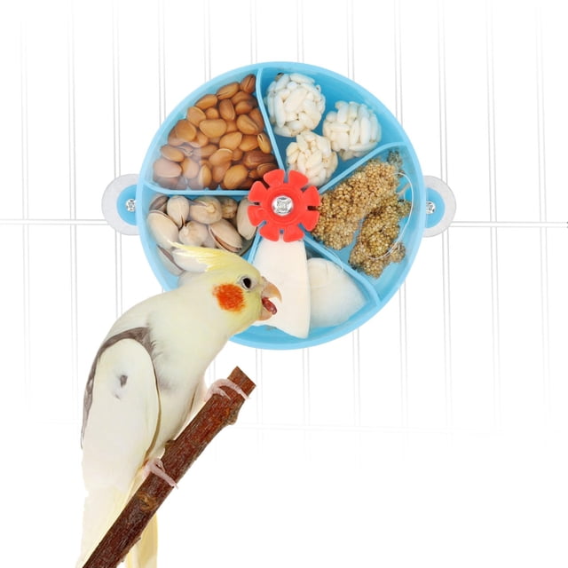 Rueda Foraging Toy Wontee Bird Creative System para loros