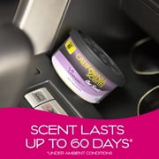 California Scents Can/Hidden Air Freshener (L.A. Lavender Scent, 1 Pack)
