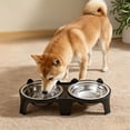 thumbnail image 5 of Byujiro Elevated Tilted Double Pet Bowls Neck-Friendly Cat & Dog Feeding/Watering Set with Non-Slip Stand, Anti-Tipping Design, Easy-Clean Bowls for Small Pets, 5 of 6
