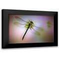 thumbnail image 1 of Hoffman, Jimmy 14x11 Black Modern Framed Museum Art Print Titled - LibA lA lula, 1 of 5