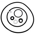 thumbnail image 1 of Pentair PP4000 Seal Gasket & O-Ring Replacement Kit, 1 of 1
