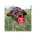 thumbnail image 4 of Premio Para Perro Kong Mantequilla De Cacahuate 226 Grs Kong Premios, 4 of 4