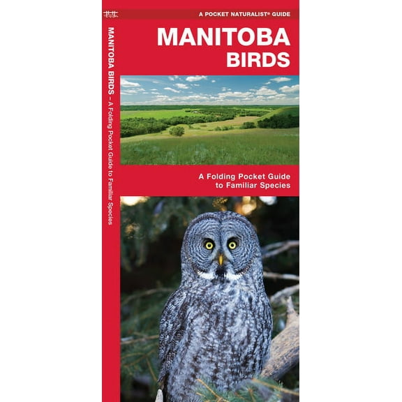 Wildlife and Nature Identification: Alberta Wildlife : A Folding Pocket Guide to Familiar Animals (Edition 2) (Other)