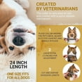 thumbnail image 5 of Collar antipulgas para perros Paquete de 2 collares naturales contra pulgas y garrapatas para perros Prevención de 8 meses Collares para cachorros Collares grandes ajustables de 24 pulgadas, 5 of 5