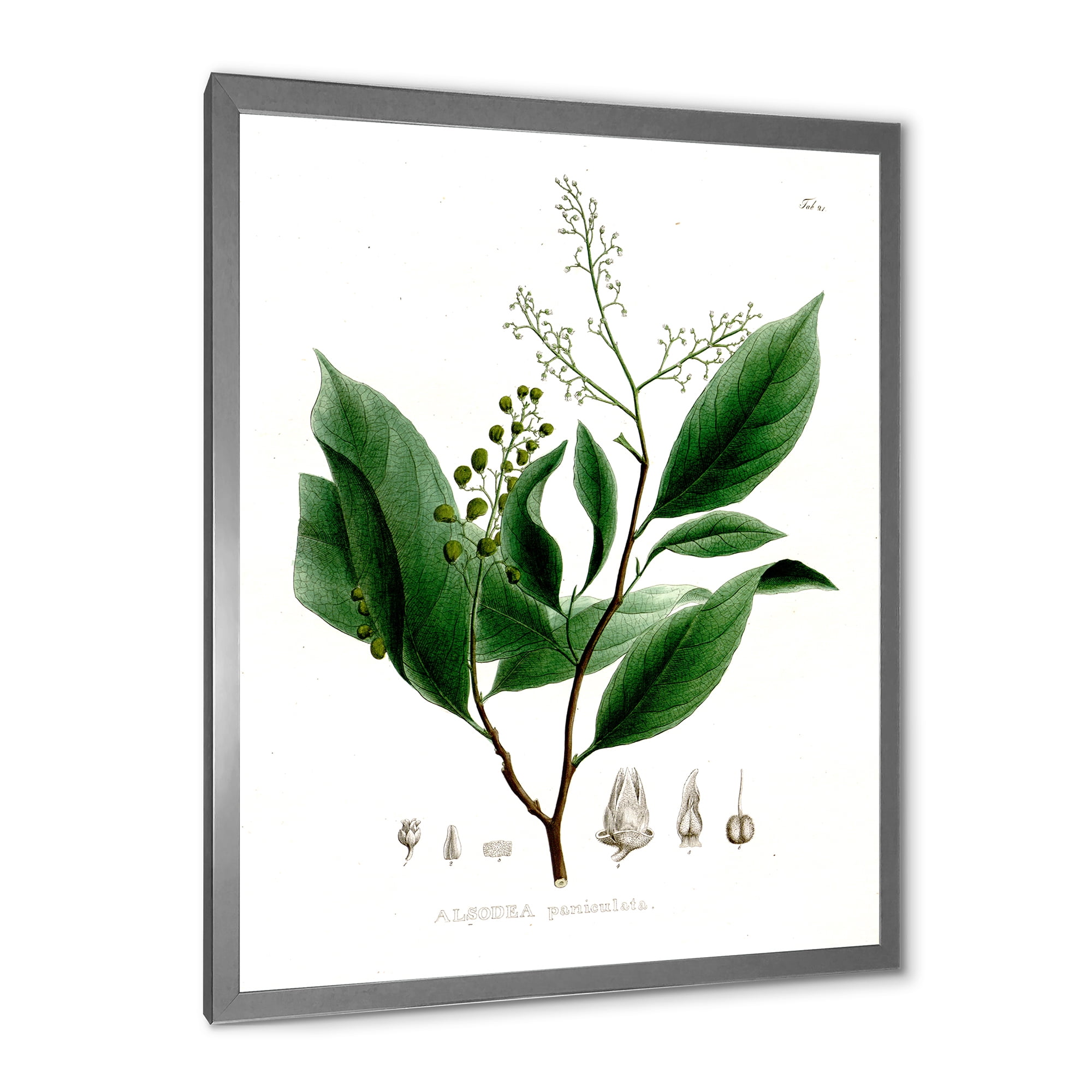 Designart 'Ancient Brazilian Plant II' Traditional Framed Art Print