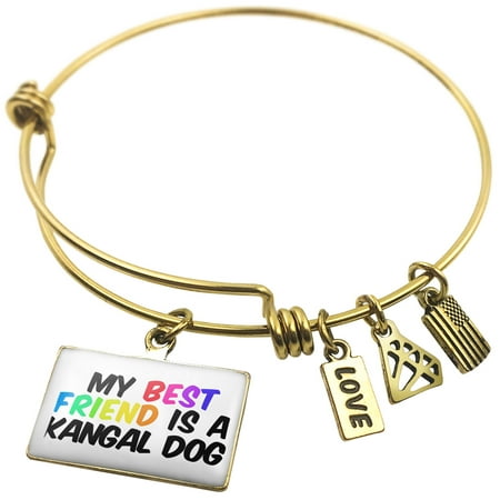 Expandable Wire Bangle Bracelet My best Friend a Kangal Dog from Turkey -