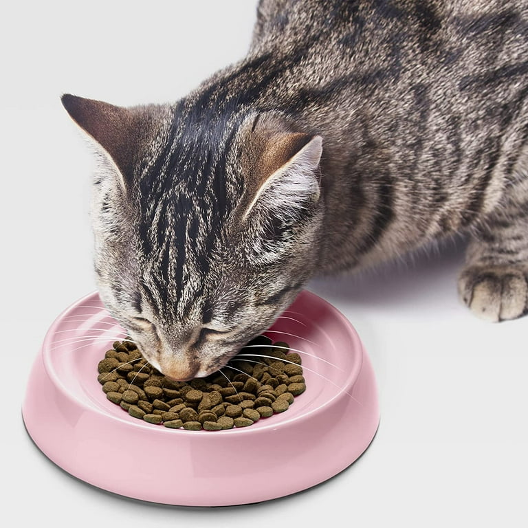 Kitten food bowls online