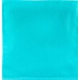 thumbnail image 2 of Turquoise Baby Paper, 2 of 2